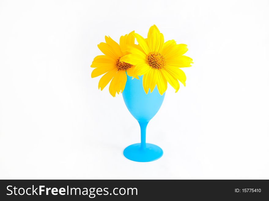 Sunflower inside the cup which helps to cool down the hot summer. Sunflower inside the cup which helps to cool down the hot summer.