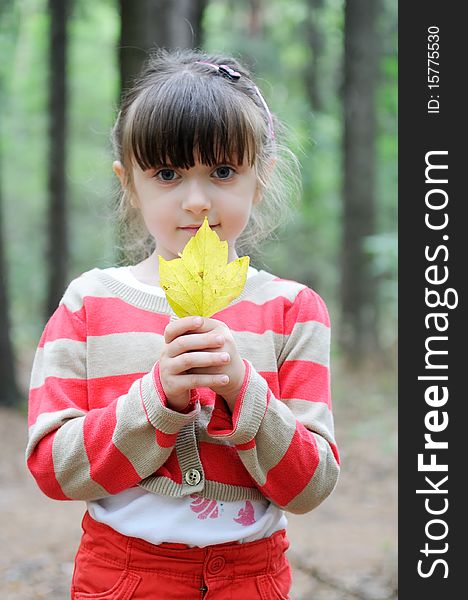 Nice toddler girl in cute shorts and stripe sweater in the forest with yellow leave. Nice toddler girl in cute shorts and stripe sweater in the forest with yellow leave