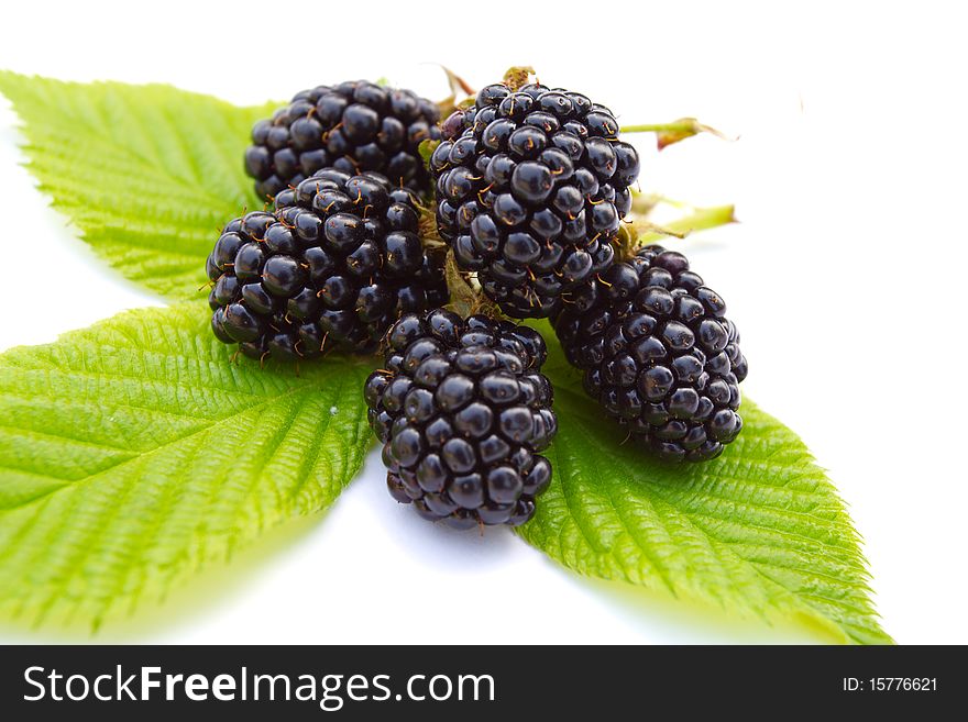 Heap of ripe blackberries with leaves, isolated on white. Heap of ripe blackberries with leaves, isolated on white