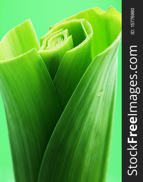 Close-up of onion over green background.