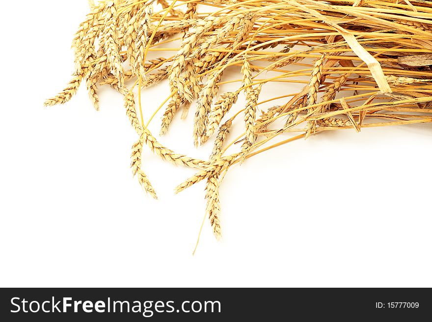 Wheat isolated over white background.