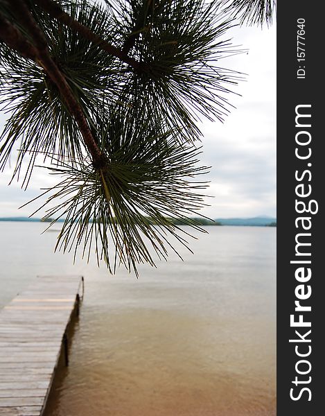 Pine tree silhouette and dock on lake in NH. Pine tree silhouette and dock on lake in NH