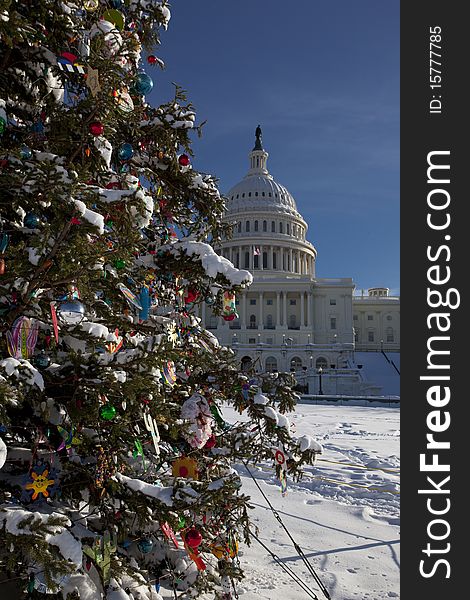 View of the Capitol with a lot of snow in the morning under blue sky after a few days of snow strom. In the Front the Capitol Christmas tree. View of the Capitol with a lot of snow in the morning under blue sky after a few days of snow strom. In the Front the Capitol Christmas tree