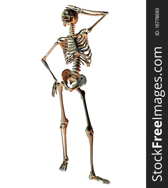 3d rendering a skeleton in model pose as illustration
