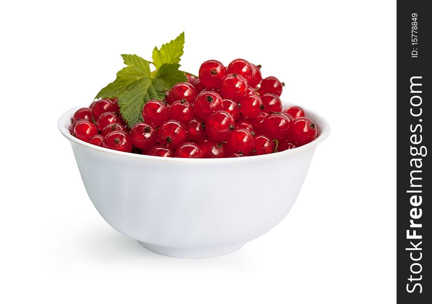 Fresh red currant on the white isolated background