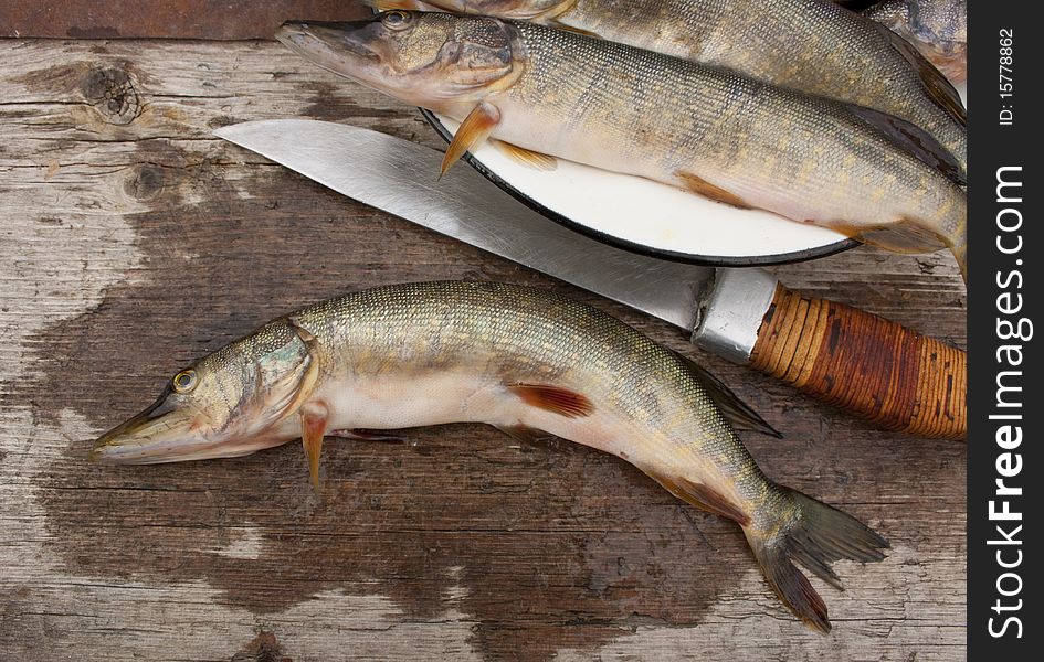 Freshwater fish  on a wooden background. Freshwater fish  on a wooden background