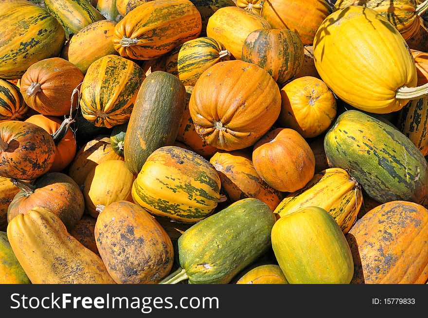 Background From Ripe Pumpkins.