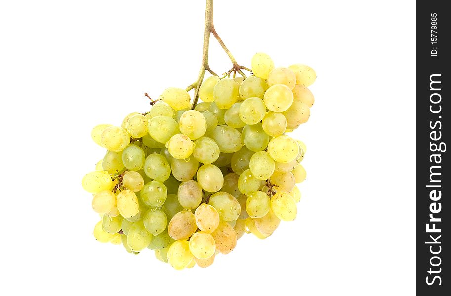 Cluster of white grapes on a white background