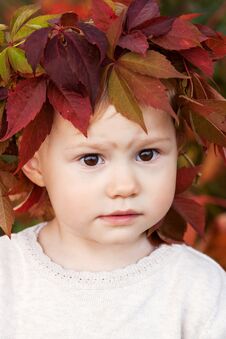Autumn Close Up Portrait Of Little  Girl. Pretty Little Girl With Red Grape Leaves In Autumn Park. Autumn Activities For Children Stock Images