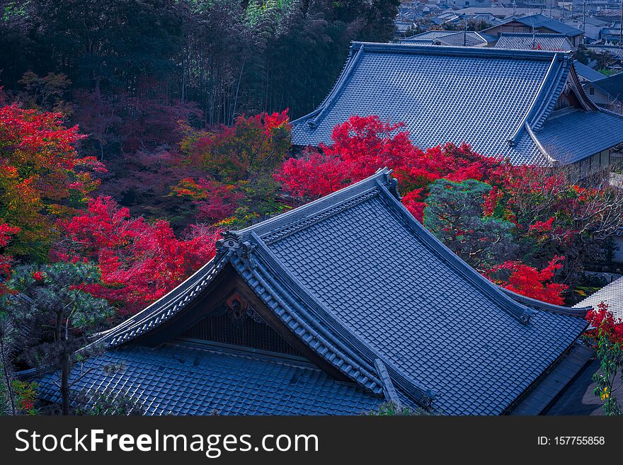 Roof of japanese house with the colorful of maple  at autumn season, traditional cityscape view from enkoji temple in kyoto, Japan