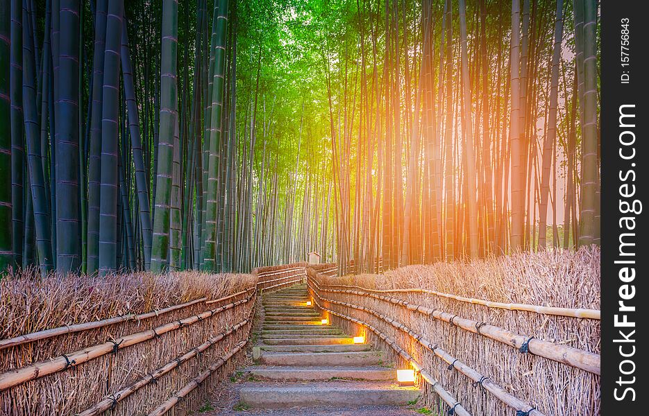 Path to bamboo forest at Arashiyama, Kyoto, Japan