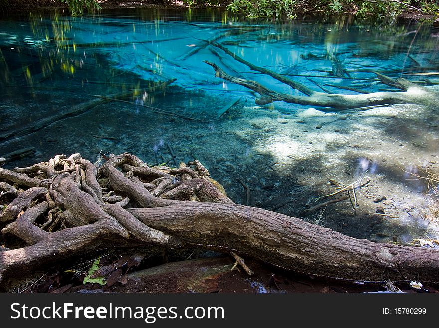 Blue pond in rainforest of thailand