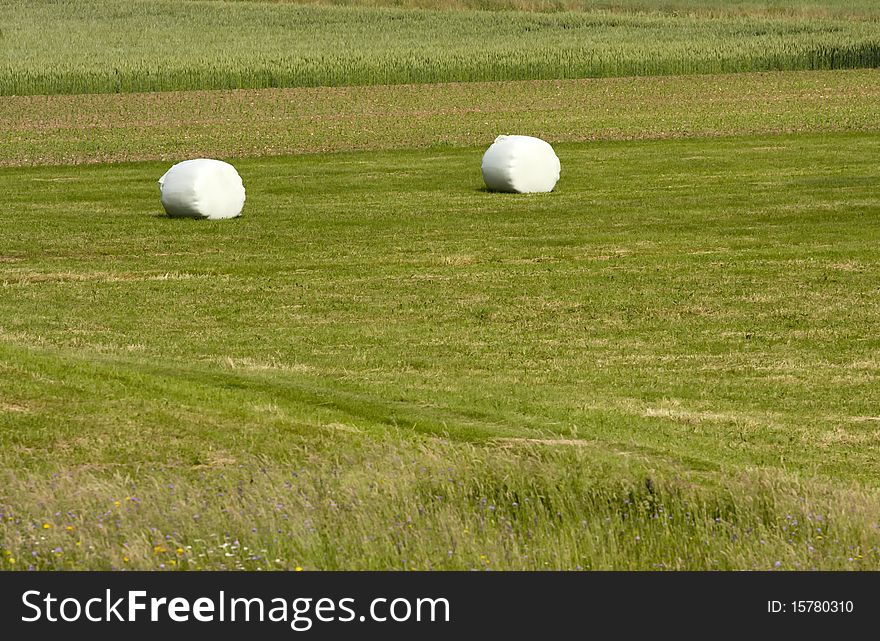 Hay on the field in the morning light. Hay on the field in the morning light.