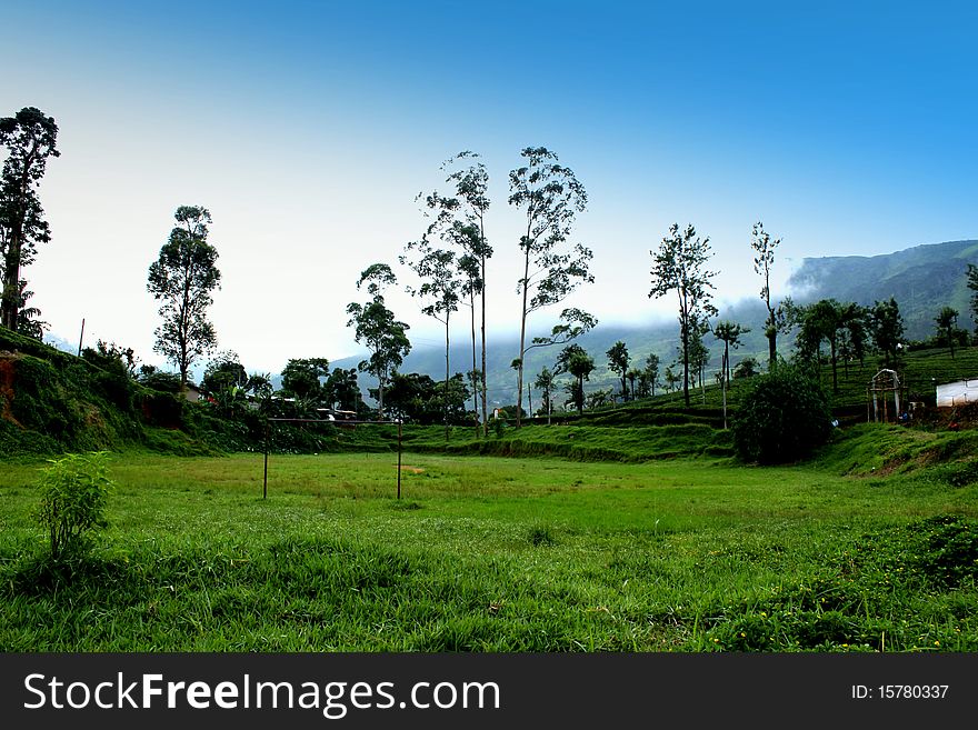 Heavenly Hillside in the mountain city of Nawalapitiya - Sri Lanka