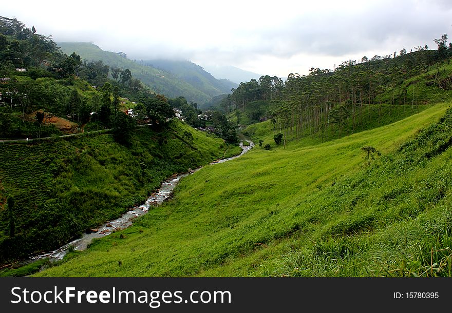 The beautiful countryside in the upland nawalapitiya- sri lanka. The beautiful countryside in the upland nawalapitiya- sri lanka