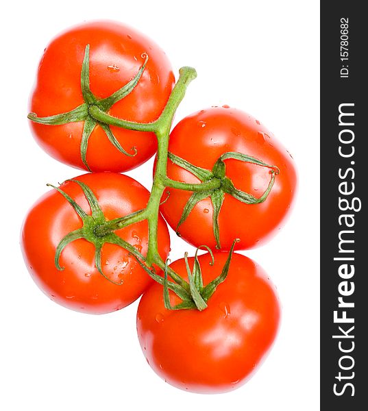 Twig of ripe tomatoes, isolated on white