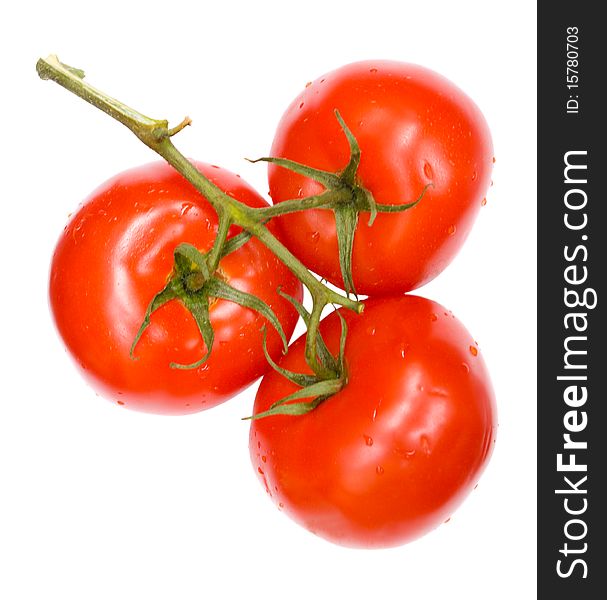 Twig of ripe tomatoes, isolated on white