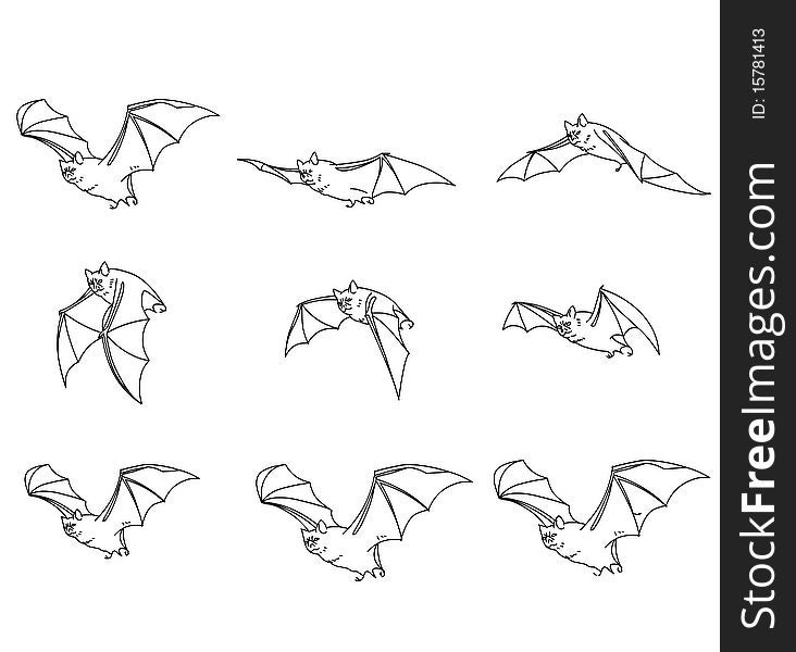 Flying Bats - Includes Clipping Path