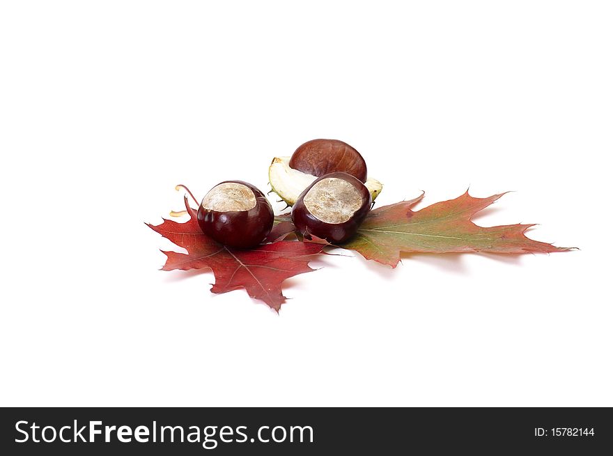 Small chestnuts and leaves isolated on a white background. Small chestnuts and leaves isolated on a white background.