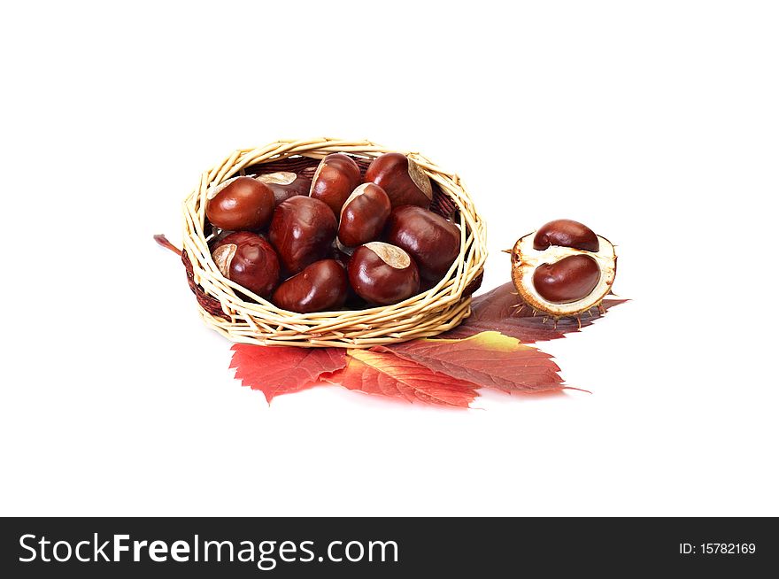 Beautiful leaves,basket and chestnuts isolated on a white background. Beautiful leaves,basket and chestnuts isolated on a white background.