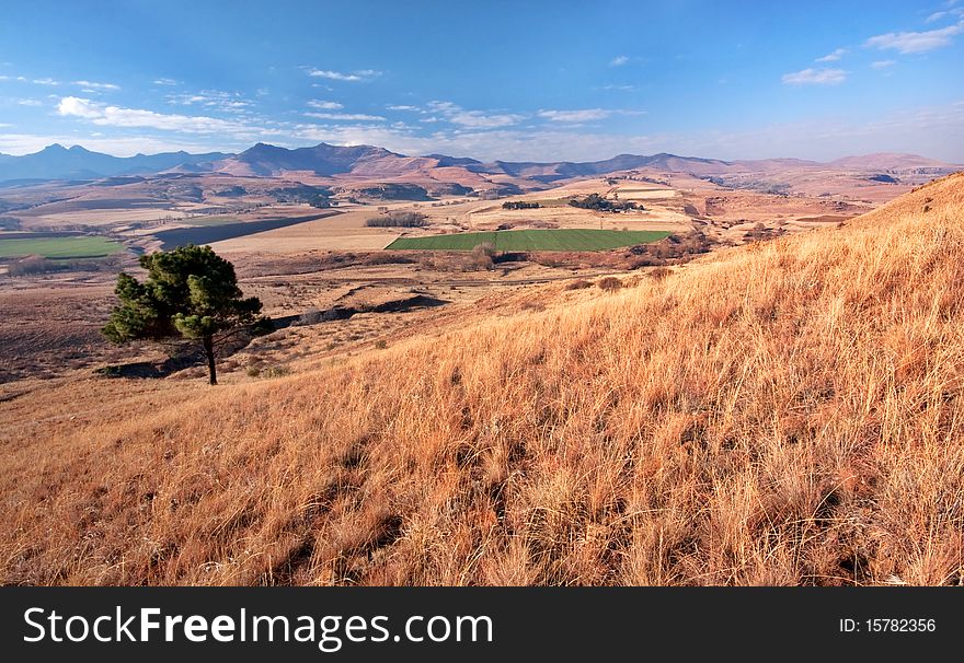 Scenic view from mountain overlooking winter landscape in Drakensberg mountains in South Africa with cultivated farm fields and lone single pine tree. Scenic view from mountain overlooking winter landscape in Drakensberg mountains in South Africa with cultivated farm fields and lone single pine tree