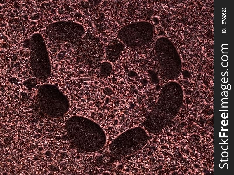The heart formed out of bacteria