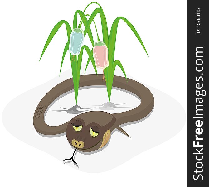 Vectorial image of colors and snake on a white background. Illustration is suitable for editing.