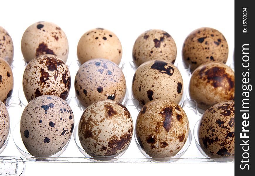 Packing quail eggs, isolated on white background