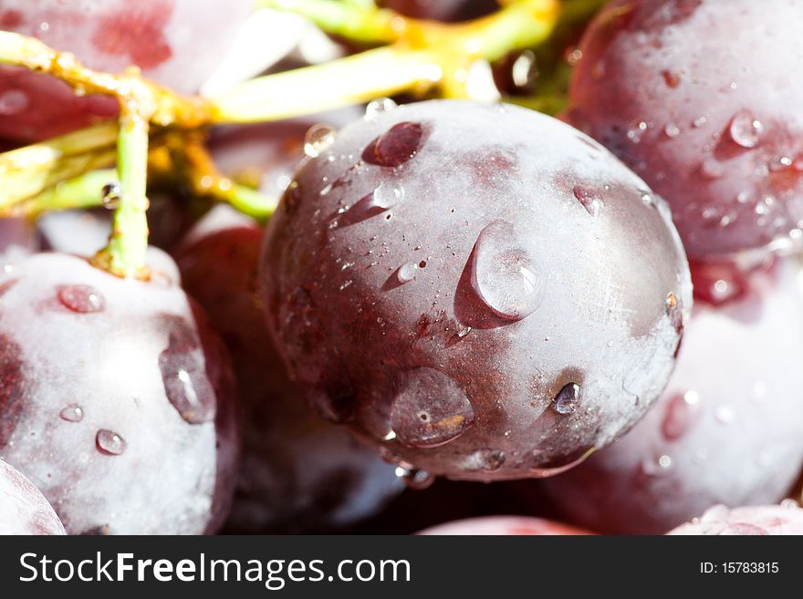Close up of fresh red grape i