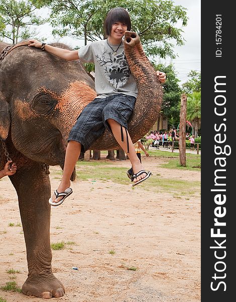 Teenager Sit On Elephants Trunk