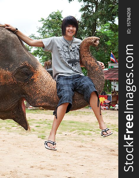 Teenager sit on elephants trunk, adventure in Surin, Thailand