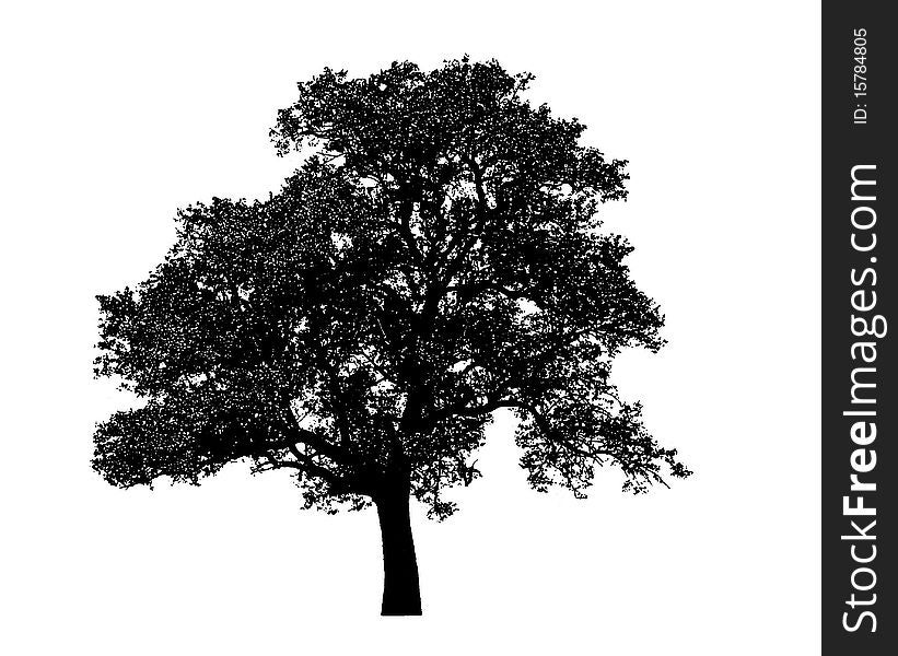 Lonely black tree graphic isolated on white background. Lonely black tree graphic isolated on white background