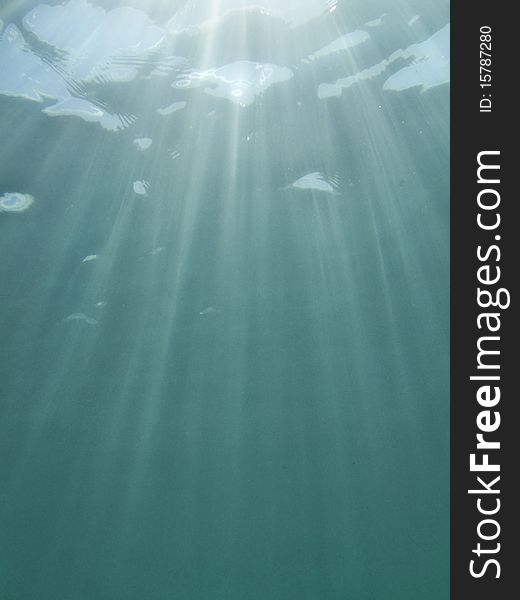 Underwater view of water surface, with rays of light on the upper part of the image and a lot of space for text