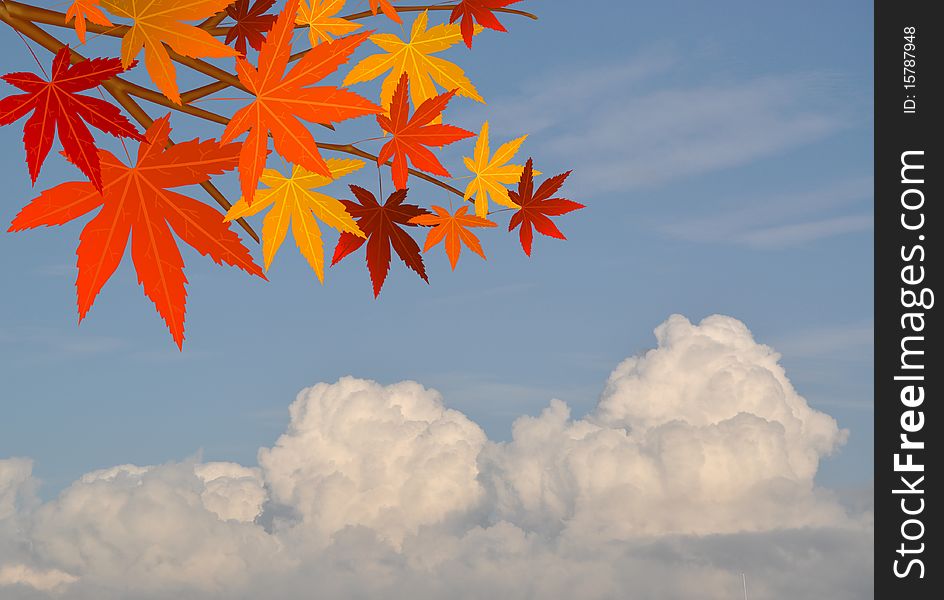 Autumn leaves frame against cloudy sky