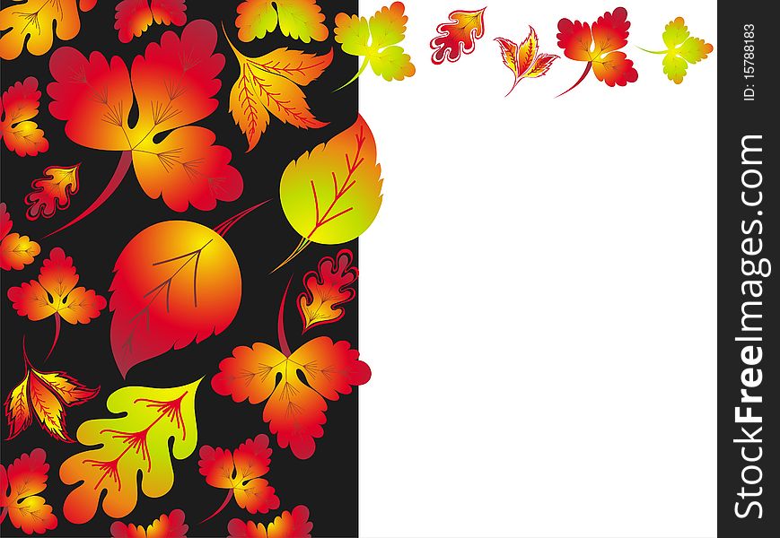 Autumn Background 2