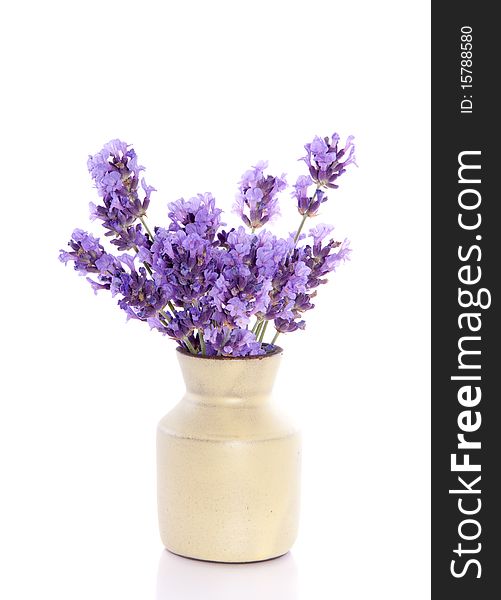 Aromatic purple lavender in a small vase isolated over a white background