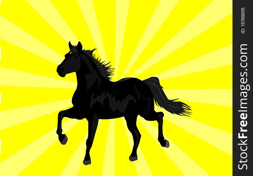 Beautiful black horse on yellow sunburst background