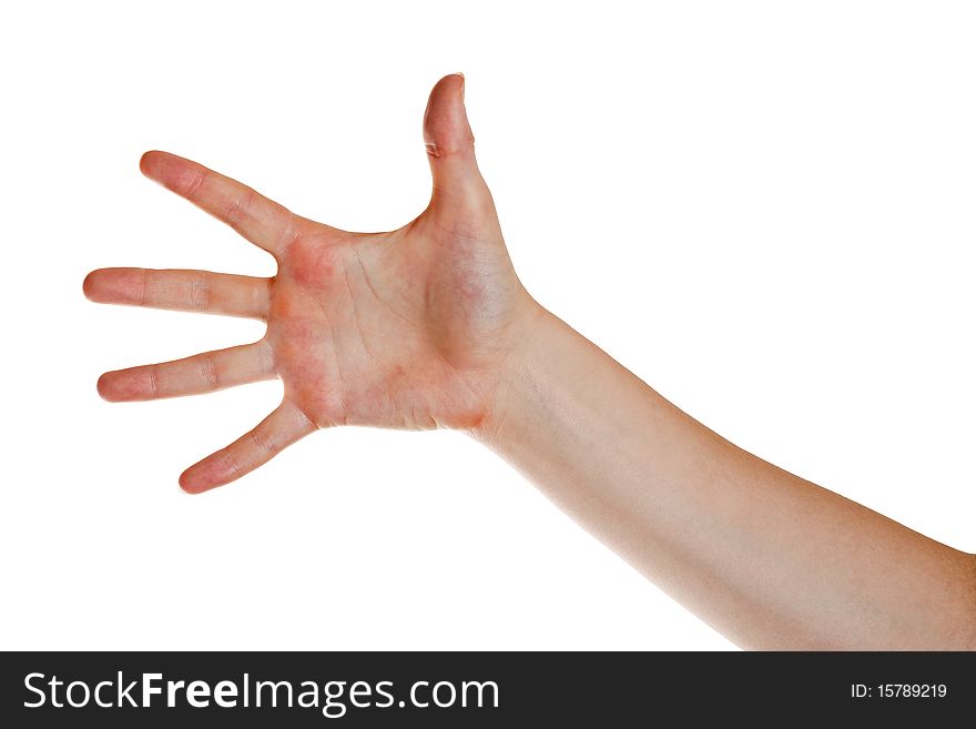 The hand of the young woman located on a white background. The hand of the young woman located on a white background