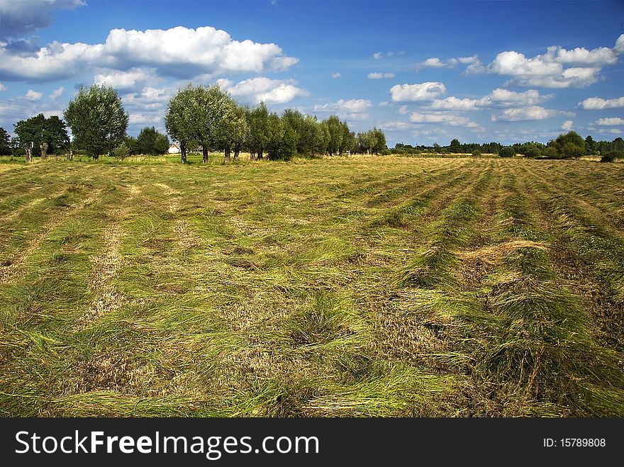 On The Harvest