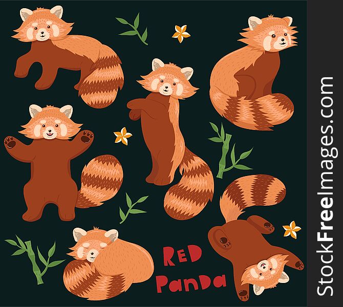 Set Of Red Pandas In Different Poses. Vector Graphics