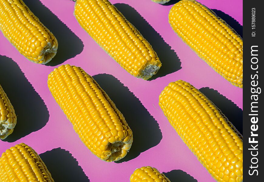 Peeled And Boiled Corn Heads Pattern. Isometric View On A Pink Background. Healthy Food Concept