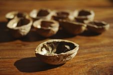Shells Walnuts Stock Photos Shells Walnuts Stock Photos