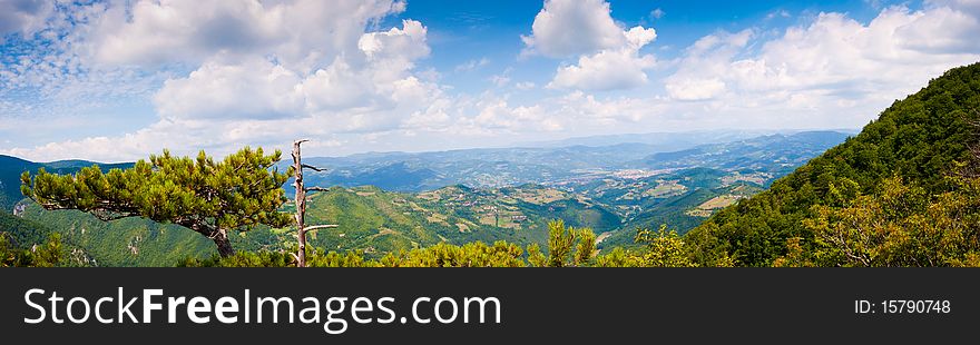 Viewpoint Of Mountain Tara Panorama