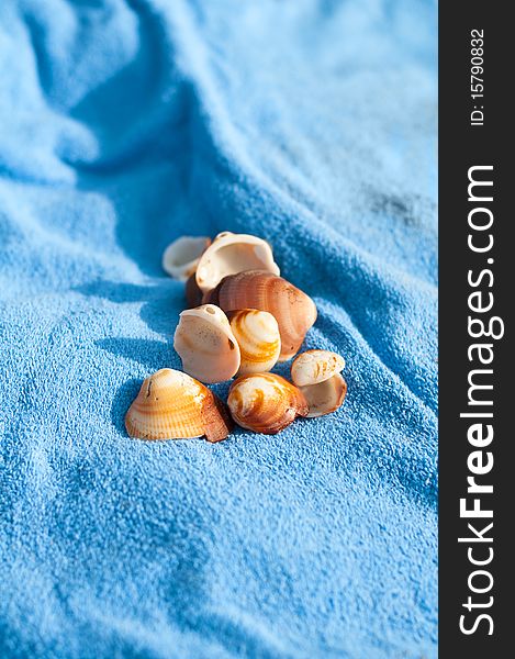 Shells on the 'beach towels in summer. Shells on the 'beach towels in summer