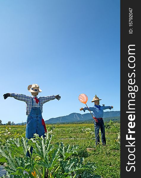 Rural scene ï¿½ two scarecrows in the field.