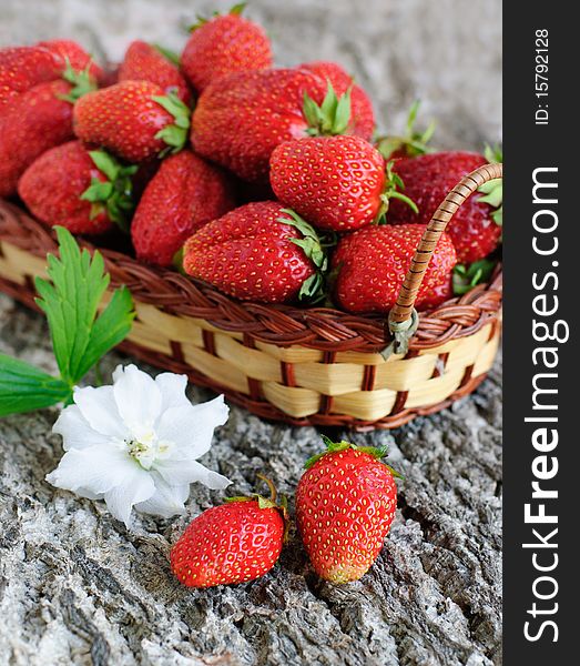 Fresh tasty strawberry in basket. Fresh tasty strawberry in basket