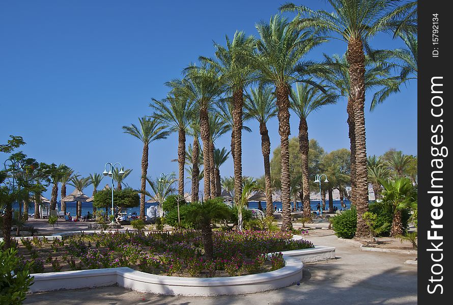 Eilat is the famous resort and recreation city in the Middle East. Eilat is the famous resort and recreation city in the Middle East