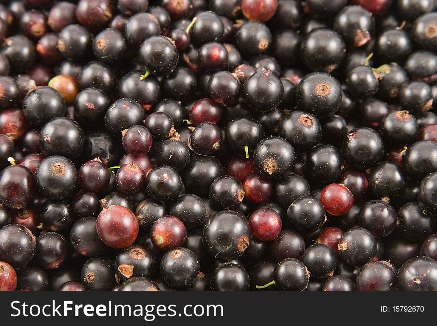 Black currant closeup, food background