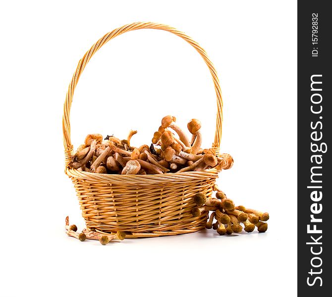 Mushrooms in a basket isolated on a white background