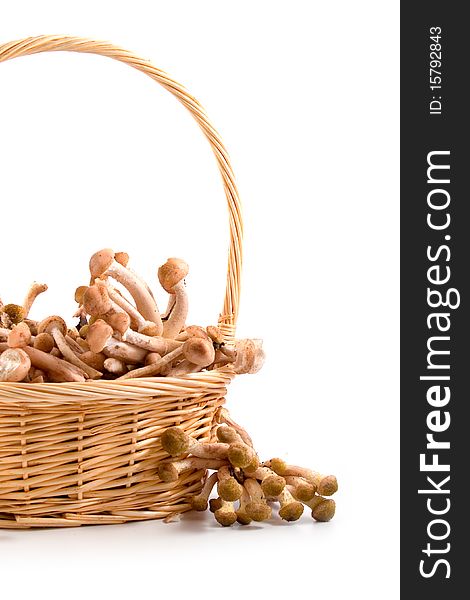 Mushrooms in a basket isolated on a white background